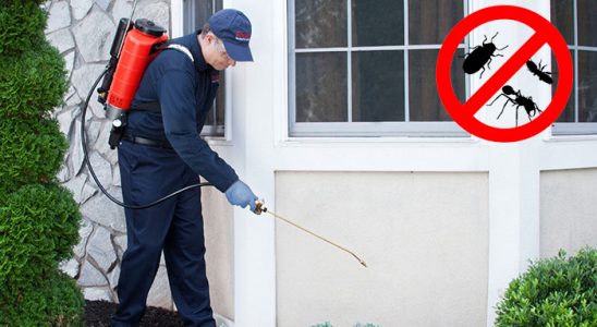 Sulusaray Kemirgen İlaçlama böcek ilaçlama ve haşere kontrolü — ilaclama-tr.com
